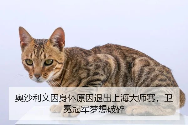 奥沙利文因身体原因退出上海大师赛，卫冕冠军梦想破碎