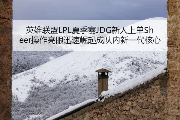 英雄联盟LPL夏季赛JDG新人上单Sheer操作亮眼迅速崛起成队内新一代核心