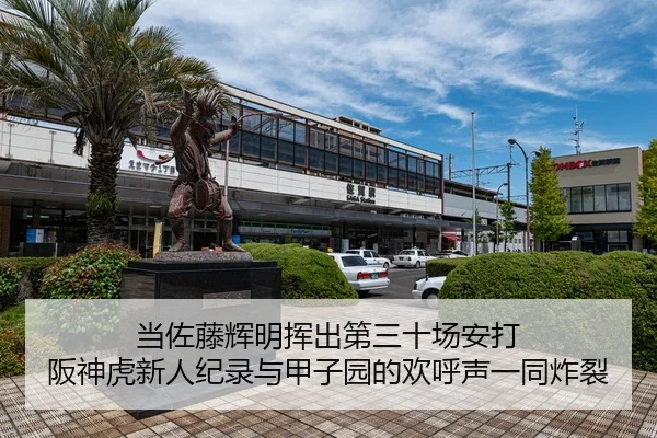 当佐藤辉明挥出第三十场安打 阪神虎新人纪录与甲子园的欢呼声一同炸裂
