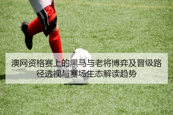 澳网资格赛上的黑马与老将博弈及晋级路径透视与赛场生态解读趋势