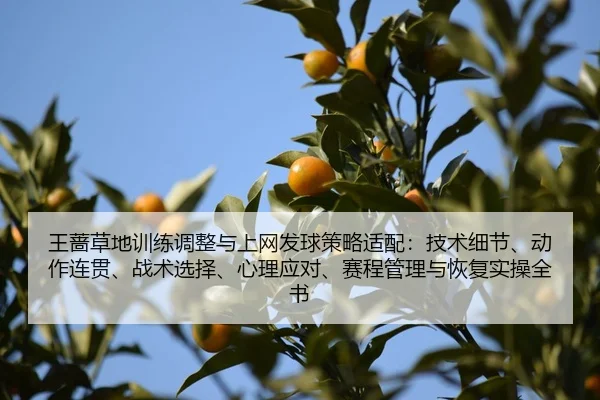 王蔷草地训练调整与上网发球策略适配：技术细节、动作连贯、战术选择、心理应对、赛程管理与恢复实操全书