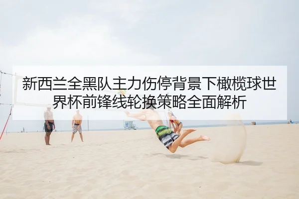 xin-xi-lan-quan-hei-dui-zhu-li-shang-ting-bei-jing-xia-gan-lan-qiu-shi-jie-bei-qian-feng-xian-lun-huan-ce-lve-quan-mian-2-322.jpg